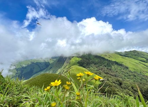 Top 5 Treks in Karnataka: Kumara Parvatha, Kudremukha, Netravathi, Bandaje, and Kodachadri