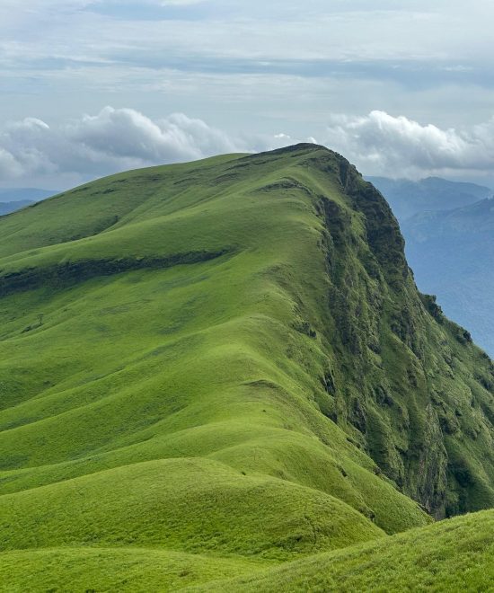 Netravati Trek with Jeep Ride, Chikmagalur