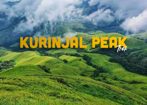 Kurinjal Peak Trek Chikmagalur