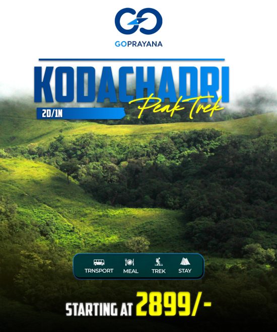 Kodachadri Trek - Shimogga