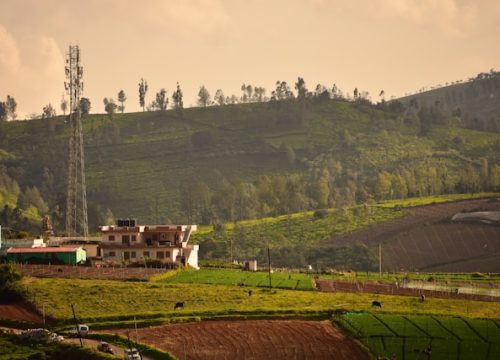 Ooty Backpacking Trip