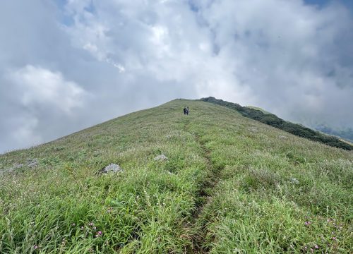 Nishani Motte Trek, Coorg Book With Goprayana