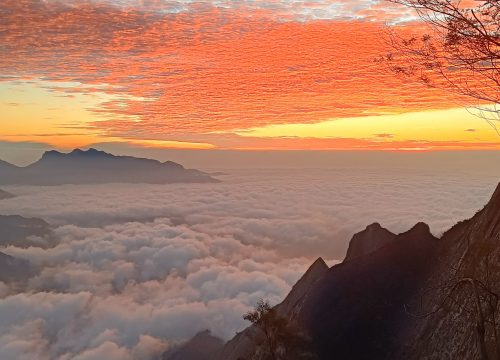 Munnar Kolukkumalai Backpacking Trip